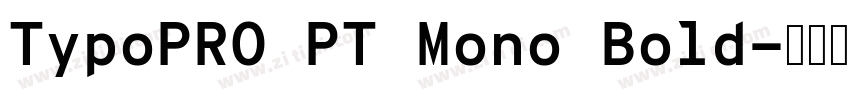 TypoPRO PT Mono Bold字体转换